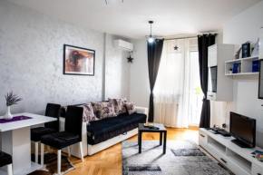 Apartman Black Star